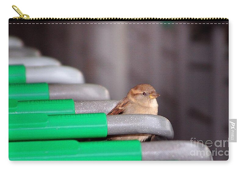 Birds Zip Pouch featuring the photograph Popup Shopper by Kimberly Furey