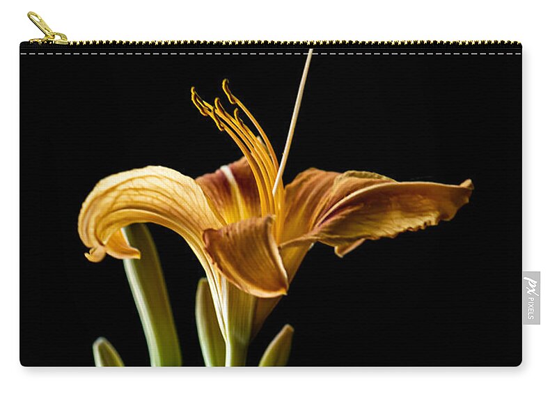 Stilllife Zip Pouch featuring the photograph Portrait of a Daylily by Maggie Terlecki