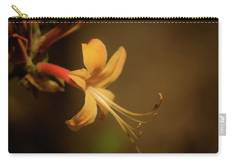 Mcdowell County Zip Pouch featuring the photograph Portrait of a Flame Azelea by Joni Eskridge