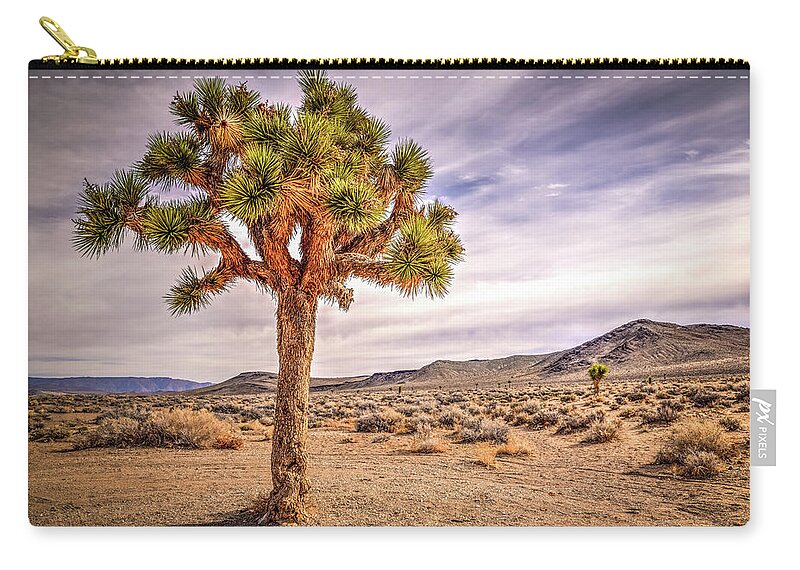 Joshua Tree Zip Pouch featuring the photograph Portrait of a Joshua Tree by Spencer McDonald