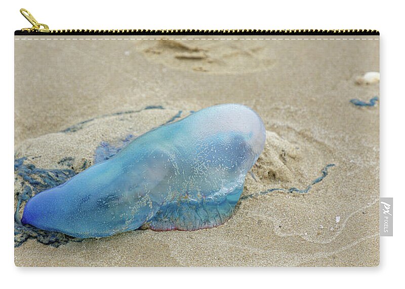 Jellyfish Zip Pouch featuring the photograph Portuguese Man-of-War by Steve Templeton