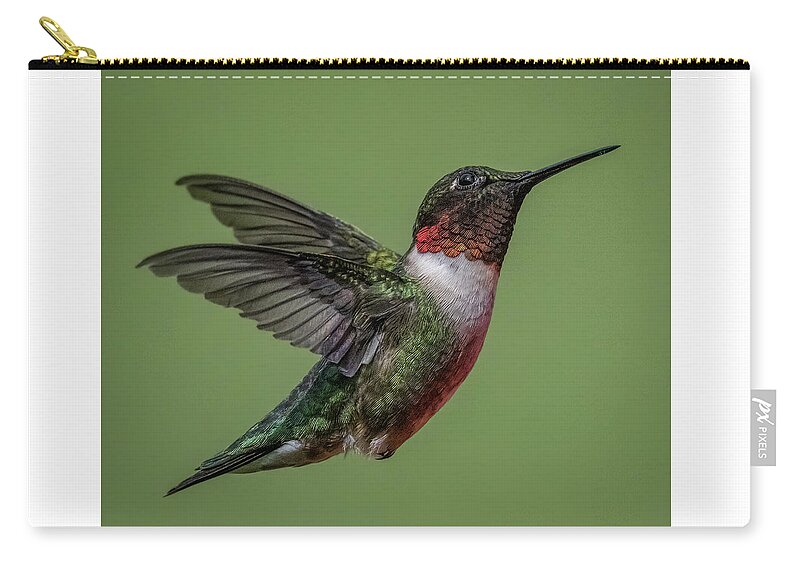 Hummingbird Zip Pouch featuring the photograph Posing by Brian Shoemaker
