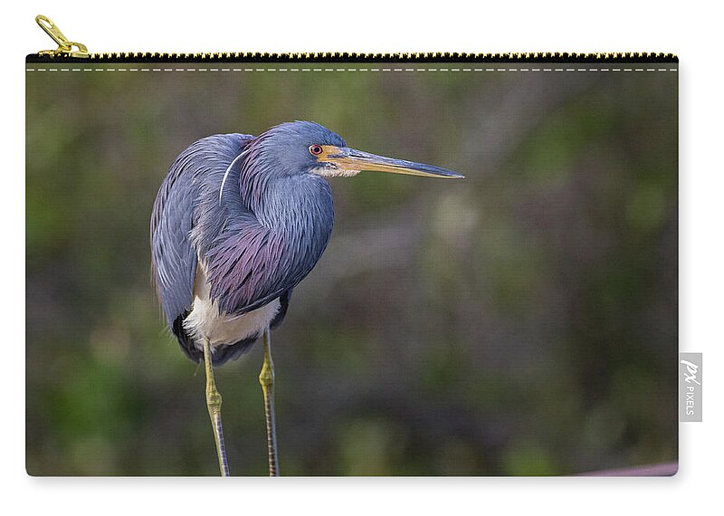 Heron Zip Pouch featuring the photograph Posing by Les Greenwood