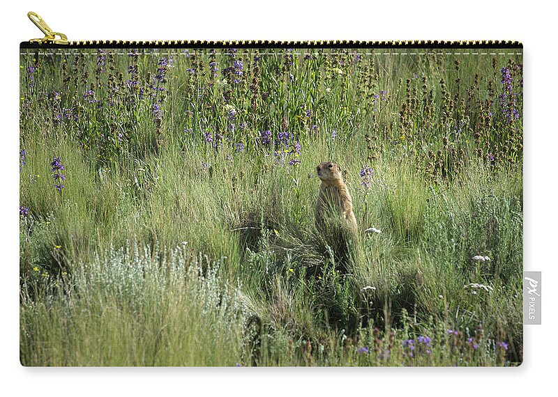 New Mexico Zip Pouch featuring the photograph Prairie Dog in Flowers by Mary Lee Dereske