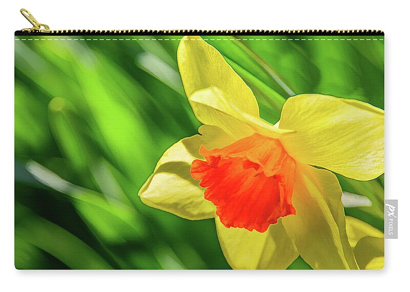 Daffodils Carry-all Pouch featuring the photograph Precocious Daffodil by Marcy Wielfaert