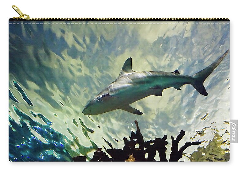 Bull Shark Zip Pouch featuring the photograph Predator of the Sea by Jill Love