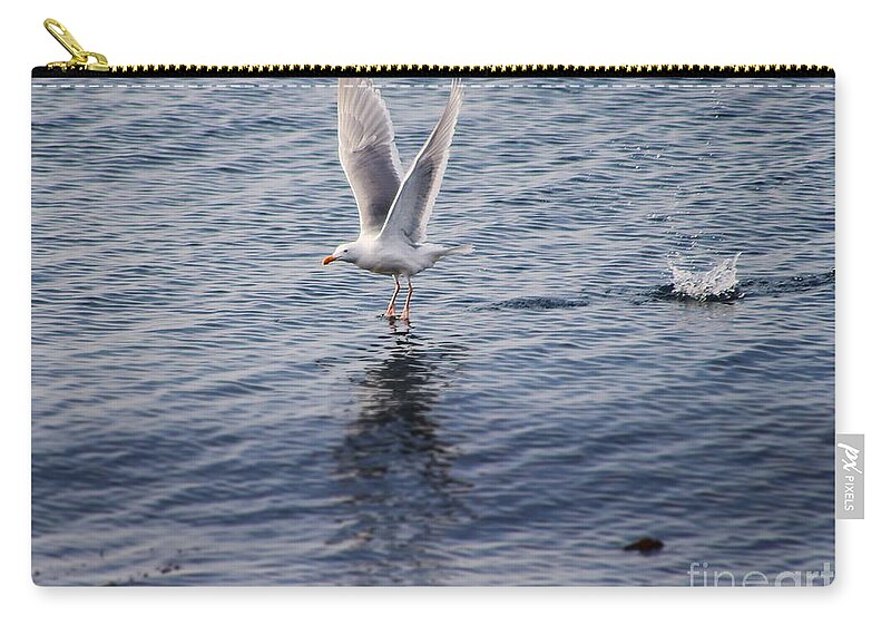 Seagulls Zip Pouch featuring the photograph Preparing For Takeoff by Kimberly Furey