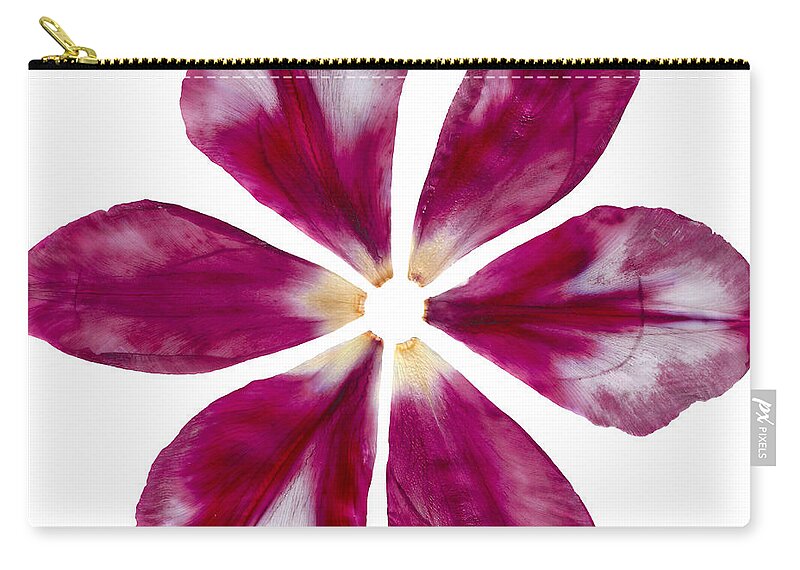 Pink Carry-all Pouch featuring the photograph Pressed Pink Tulip Petals by Michelle Bien