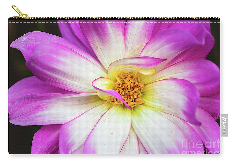 Pink Flower Zip Pouch featuring the photograph Pretty in Pink by Abigail Diane Photography