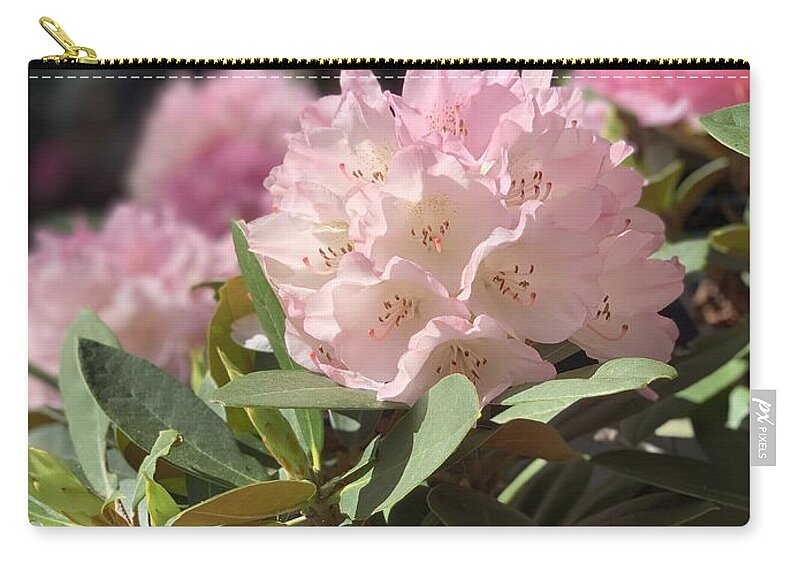 Rhododendron Carry-all Pouch featuring the photograph Pretty in Pink by Juliette Becker