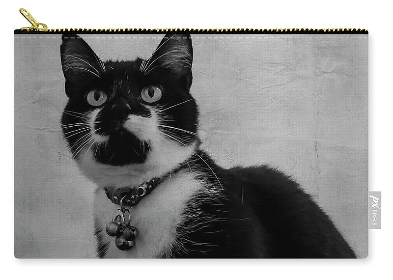 Cat Carry-all Pouch featuring the photograph Pretty Kitty by Cathy Kovarik