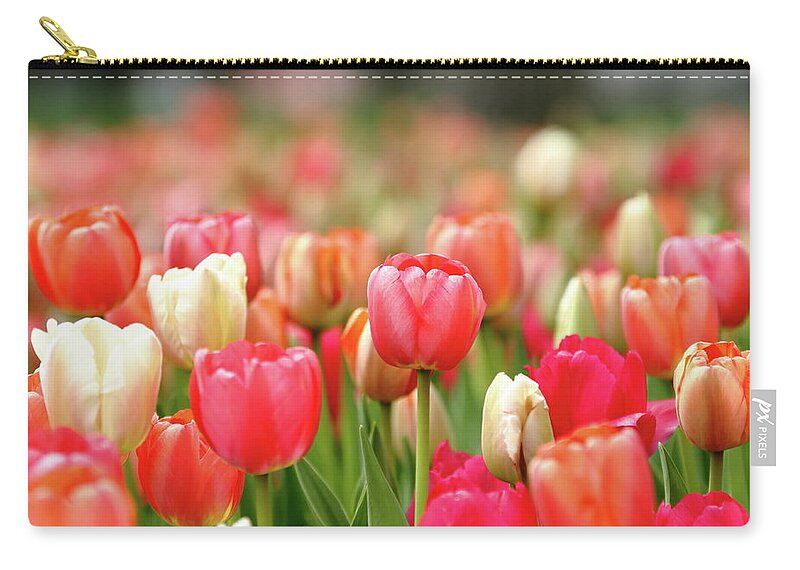 Nature Carry-all Pouch featuring the photograph Pretty Pastels by Lens Art Photography By Larry Trager