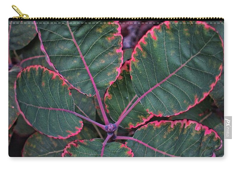 Foliage Zip Pouch featuring the photograph Pretty With PinkTrim 3 by Patricia Youngquist