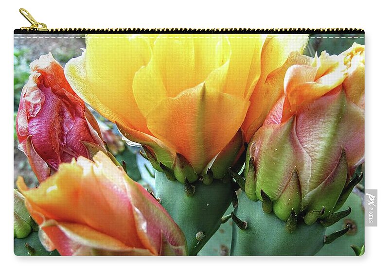 Prickly Pair Carry-all Pouch featuring the photograph Prickly Bloom by Kim Galluzzo Wozniak