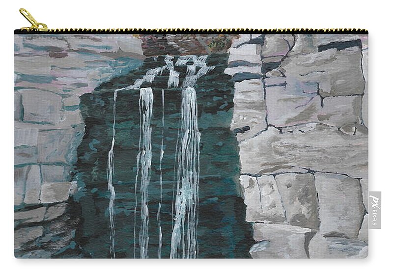 Nature Carry-all Pouch featuring the painting Princess Falls by David Bigelow
