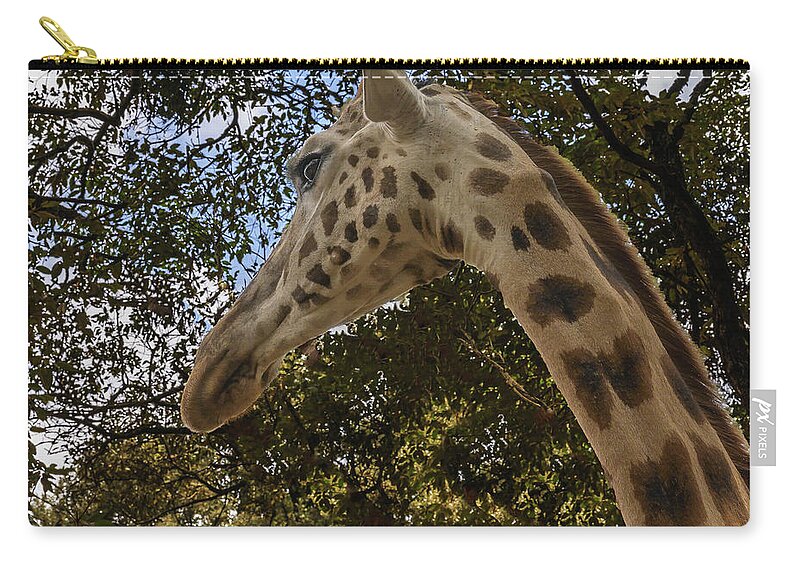 Africa Zip Pouch featuring the photograph Profile of a Giraffe by Laura Hedien