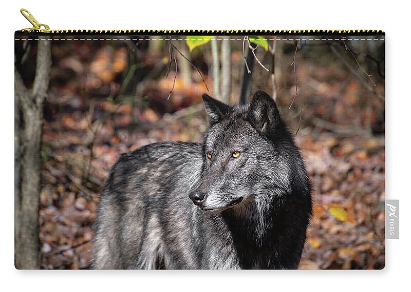 Black Phase Zip Pouch featuring the photograph Protectively Watching by Rose Guinther