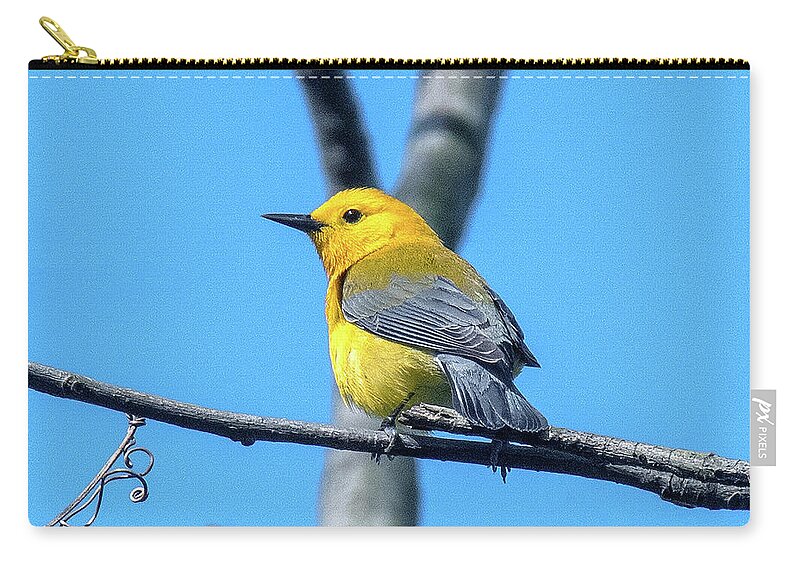 Nature Zip Pouch featuring the photograph Prothonotary Warbler DSB0344 by Gerry Gantt