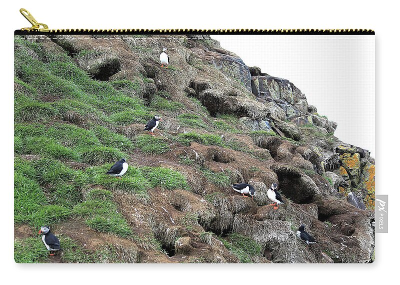Puffin Zip Pouch featuring the photograph Puffin 4 - Northeast Iceland by Richard Krebs