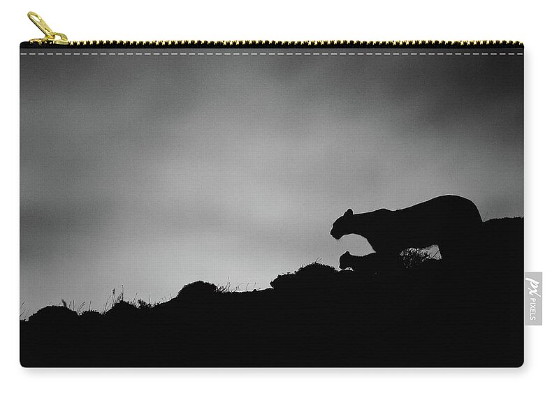 Puma Zip Pouch featuring the photograph Puma Family Silhouette by Max Waugh