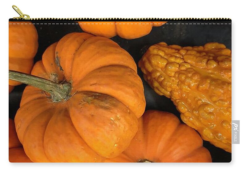 Pumpkin Zip Pouch featuring the photograph Pumpkin Flat Lay by Lisa Pearlman