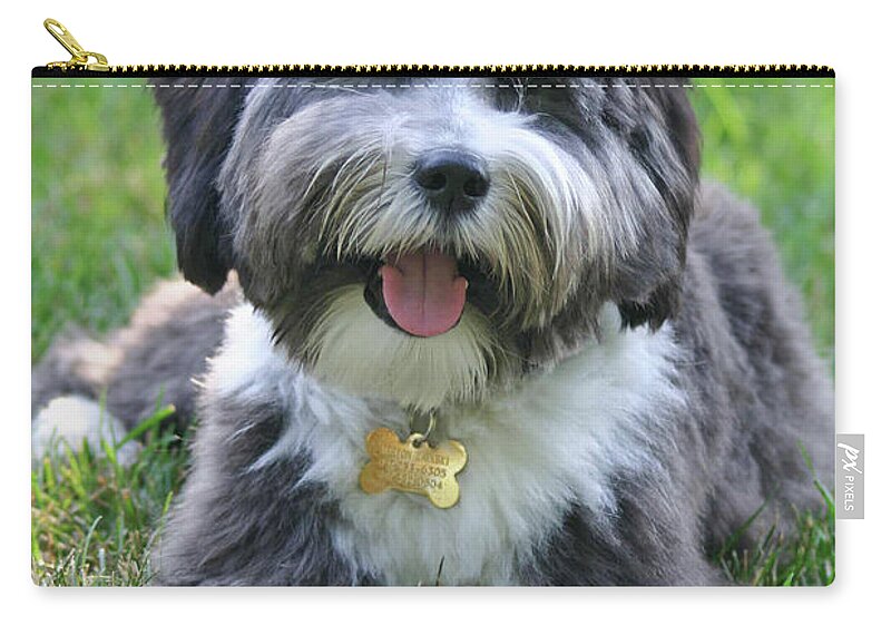 Dog Carry-all Pouch featuring the photograph Puppy Love by Patty Colabuono