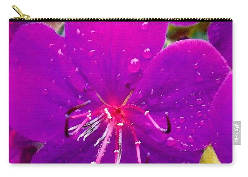 Purple Zip Pouch featuring the photograph Purple After The Rain by VIVA Anderson