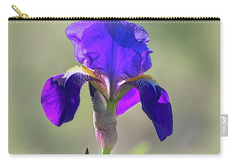 Purple Bearded Wild Iris Zip Pouch featuring the photograph Purple Bearded Wild Iris by Debra Martz