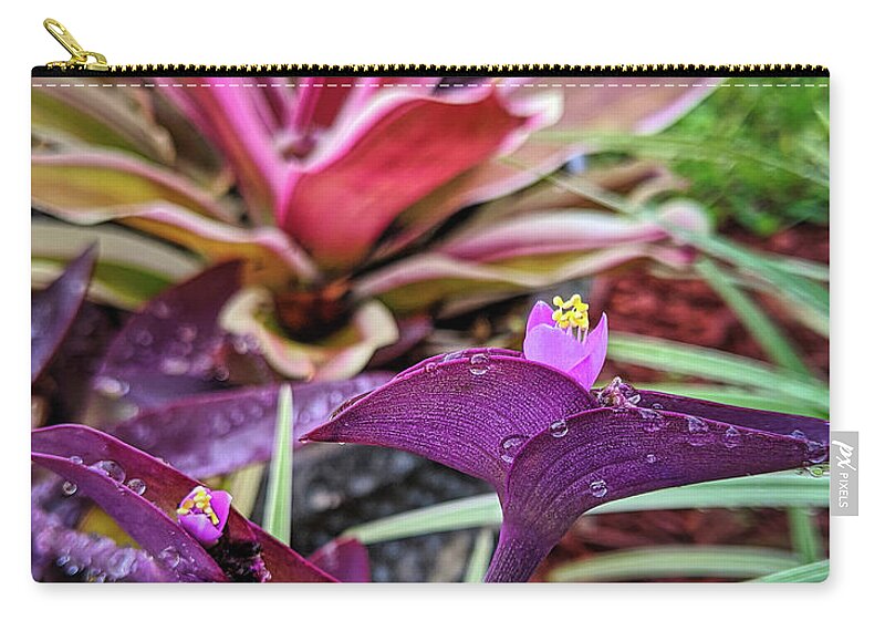 Flower Carry-all Pouch featuring the photograph Purple Heart Morning Dew by Portia Olaughlin