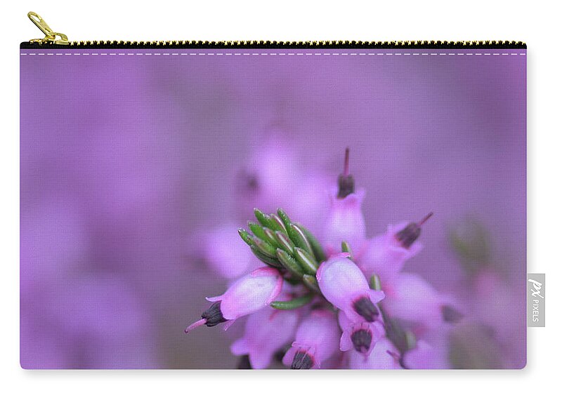 Heather Zip Pouch featuring the photograph Purple Heather - Erica cinerea by Yvonne Johnstone