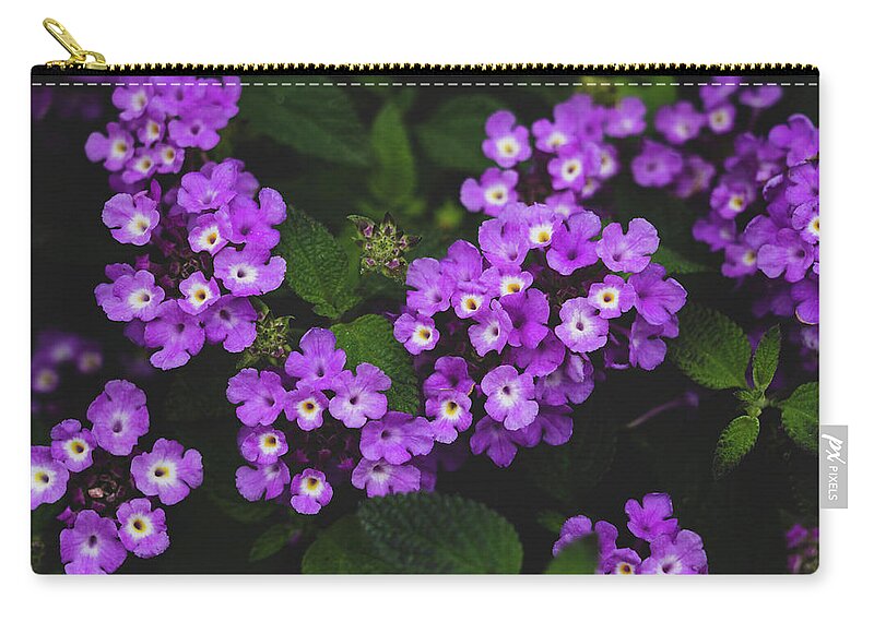 Flowers & Plants Zip Pouch featuring the photograph Purple Lantana by Adam Johnson