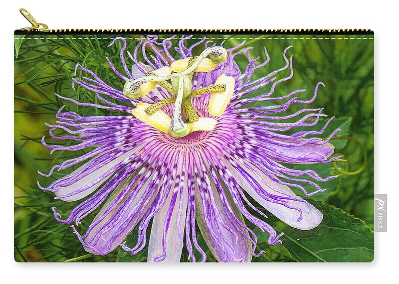 Purple Passion Flower Zip Pouch featuring the photograph Purple Passion Flower by Susan Hope Finley