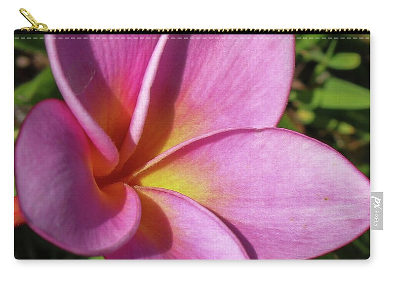 Flowers Zip Pouch featuring the pyrography Purple Plumeria by Tony Spencer