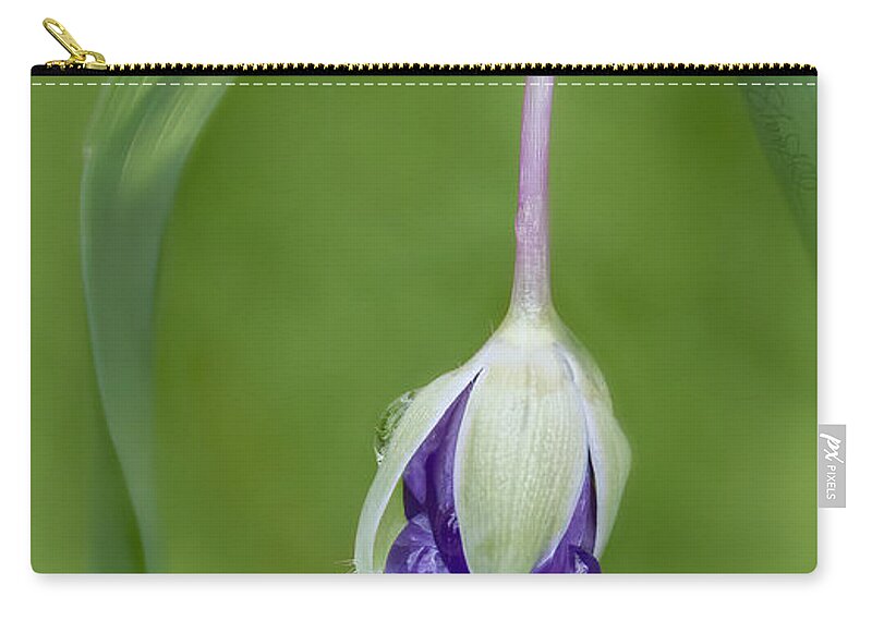 Flower Zip Pouch featuring the photograph Purple Rain Drops by Shara Abel