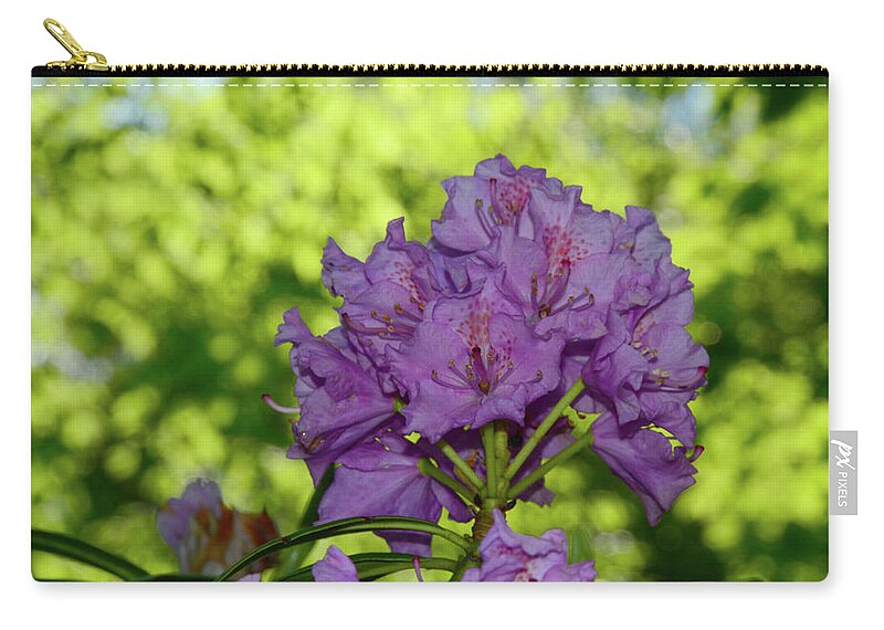 Purple Rhododendron Zip Pouch featuring the photograph Purple Rhododendron 2 by Raymond Salani III