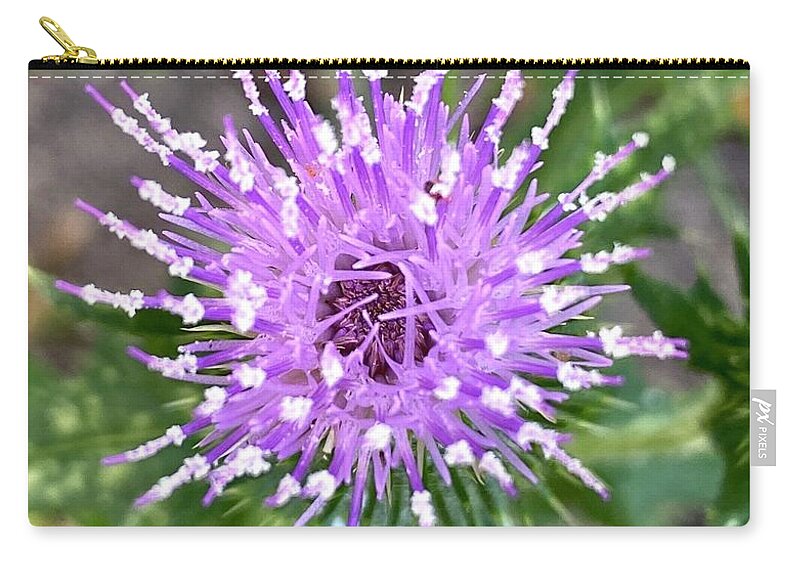 Thistle Flower Zip Pouch featuring the photograph Purple Thistle Flower by CAC Graphics