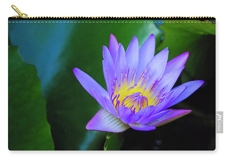 Exotic Flower Zip Pouch featuring the photograph Purple Water Lily by Christi Kraft