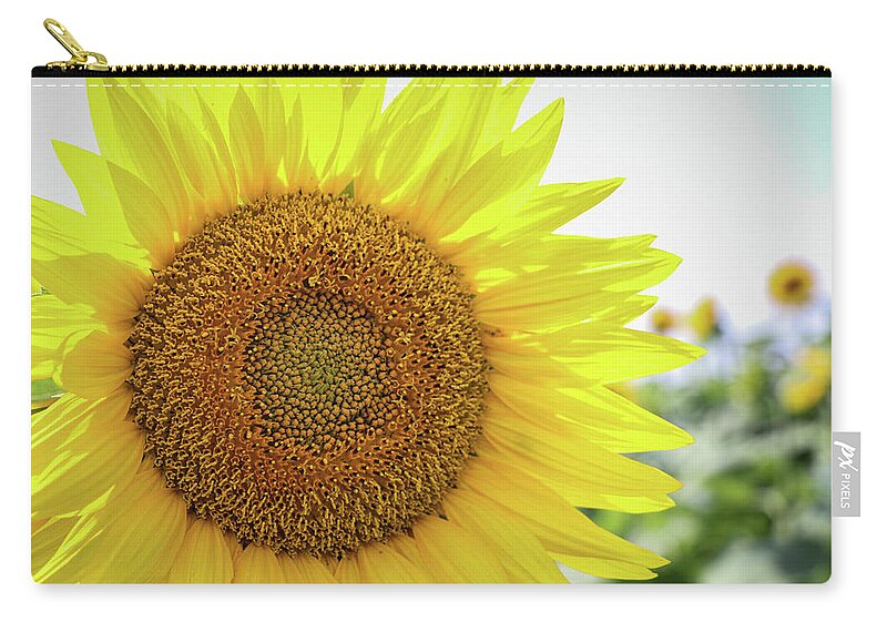 2017 Zip Pouch featuring the photograph Put a little sunshine in your life by Gerri Bigler