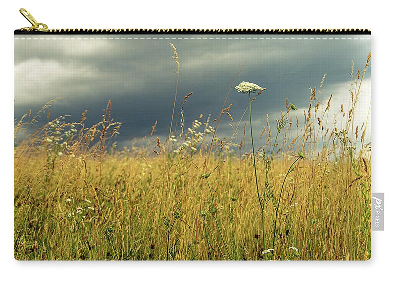 Flower Zip Pouch featuring the photograph Queen Annes Lace at Dexter Drumlin Lancaster MA by Michael Saunders