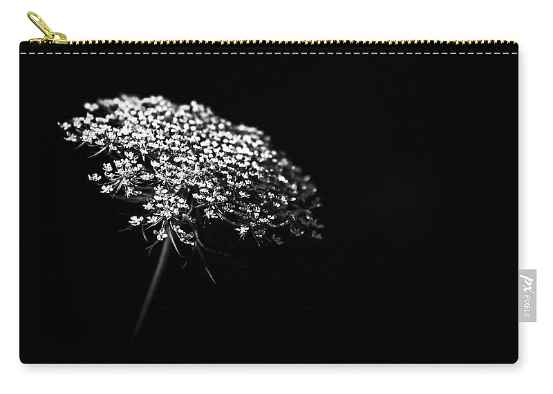 Queen Annes Lace Carry-all Pouch featuring the photograph Queen Anne's Lace by Holly Ross