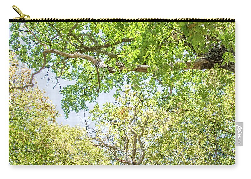 Queen's Wood Zip Pouch featuring the photograph Queen's Wood Trees Fall 3 by Edmund Peston