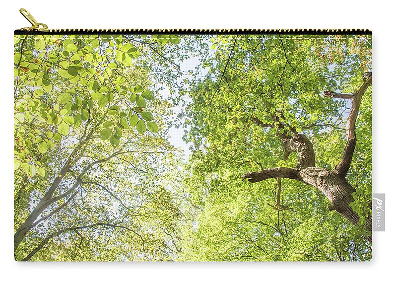 Queen's Wood Zip Pouch featuring the photograph Queen's Wood Trees Fall 4 by Edmund Peston