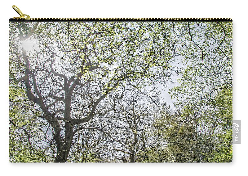 Queen's Wood Zip Pouch featuring the photograph Queen's Wood Trees Spring 3 by Edmund Peston