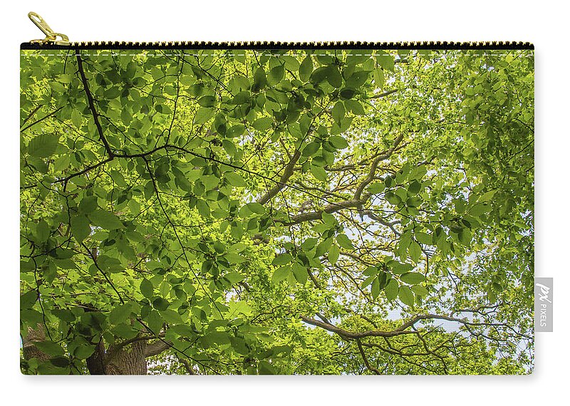 Queen's Wood Zip Pouch featuring the photograph Queen's Wood Trees Spring 5 by Edmund Peston
