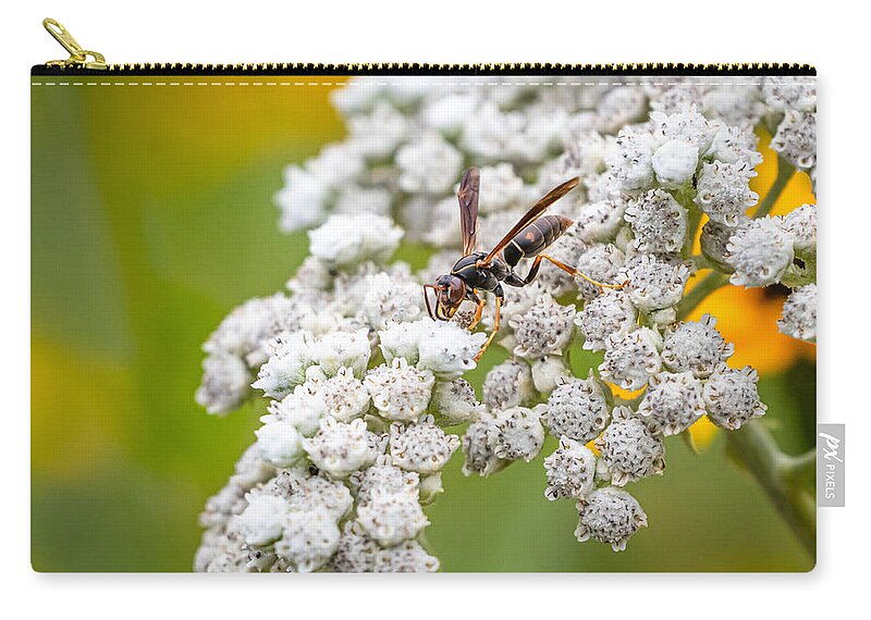 Wildflower Zip Pouch featuring the photograph Quinine-loving Wasp by Linda Bonaccorsi