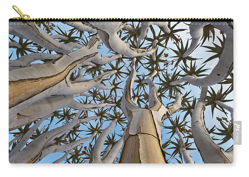00564739 Zip Pouch featuring the photograph Quiver Tree, Namib Desert by Yva Momatiuk and John Eastcott