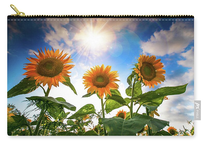  Zip Pouch featuring the photograph Radiant Sunflowers by Nicole Engstrom