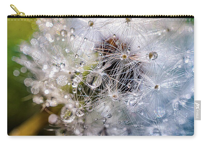 Rain Drops On Dandelion Zip Pouch featuring the photograph Rain drops on dandelion by Lilia S