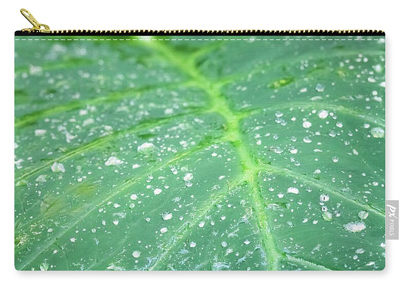 Leaf Zip Pouch featuring the photograph Rain Drops On Elephant's Ear by Steven Sparks