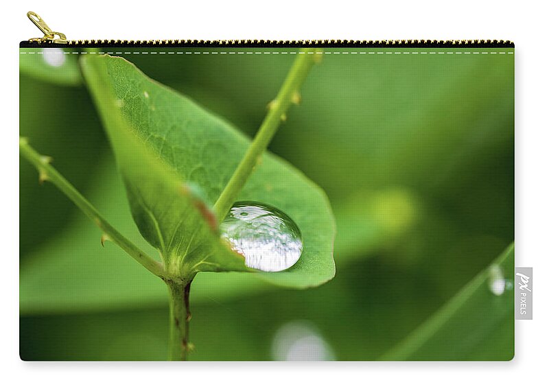 Leaf Zip Pouch featuring the photograph Rain Drops On Green Leaves by Amelia Pearn